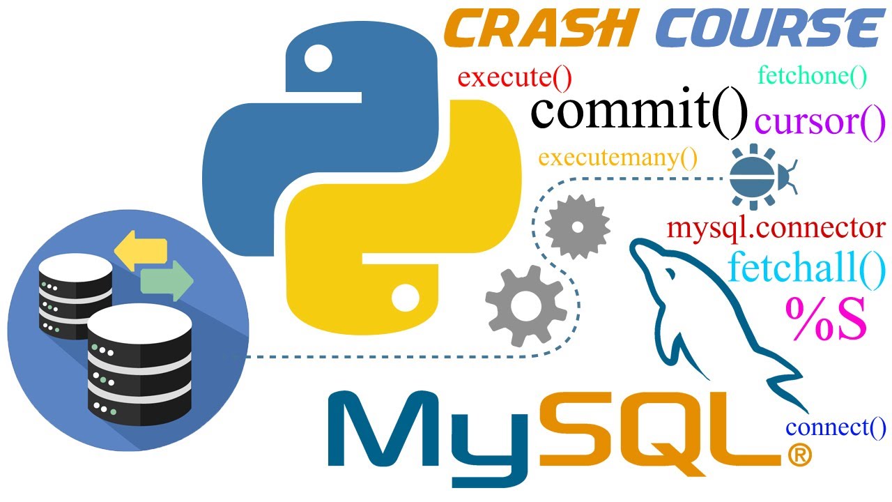 PYTHON MYSQL CRASH COURSE COMPLETE TUTORIAL PYTHON MYSQL CONNECTOR XAMPP