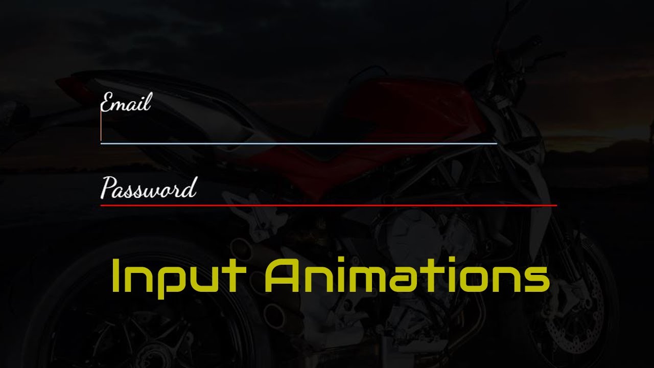 Text Input Animations HTML And CSS How To Style Text Inputs